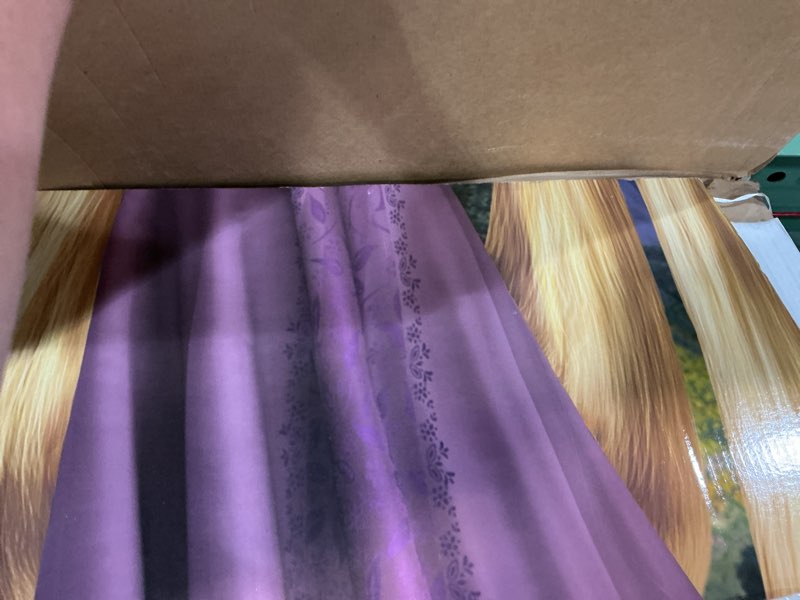 Condition photo showing As Is for cardboard people rapunzel life size cardboard cutout standup - disney's tangled
