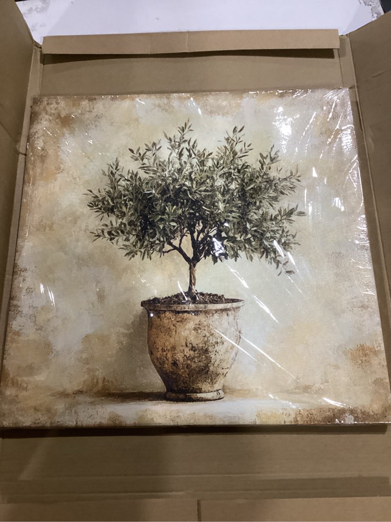 Condition photo showing New/Like New for olive tree in vessel rustic canvas wall art neutral botanical wall decor pictures antique vintage potted plant poster prints for farmhouse kitchen dining room home decoration 16x16in ready to hang olive tree 16"l x 16"w
