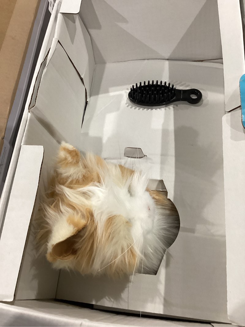 Condition photo showing Good Condition for joy for all companion pet for seniors - lifelike animatronic cat - realistic soft-touch fur & purring - therapy stuffed animal - toy for alzheimer's & dementia - orange tabby orange tabby cat