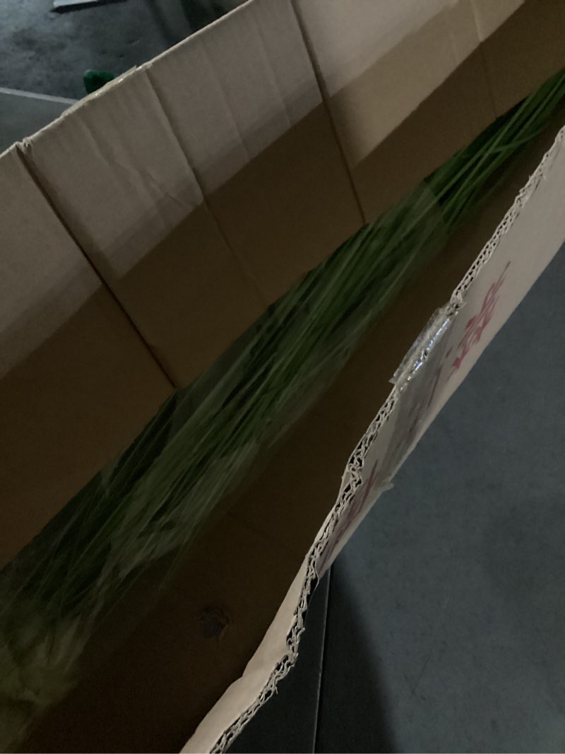 Condition photo showing New/Like New for Melorca&Guilla Artificial Plants,Artificial Tall Grass, 2Pack 49" Faux Grass Plant Indoor Outdoor Fake Tall Grass Fake Plants for Shop Garden Office Home Décor (2, Wheat Seed, 49 inch)