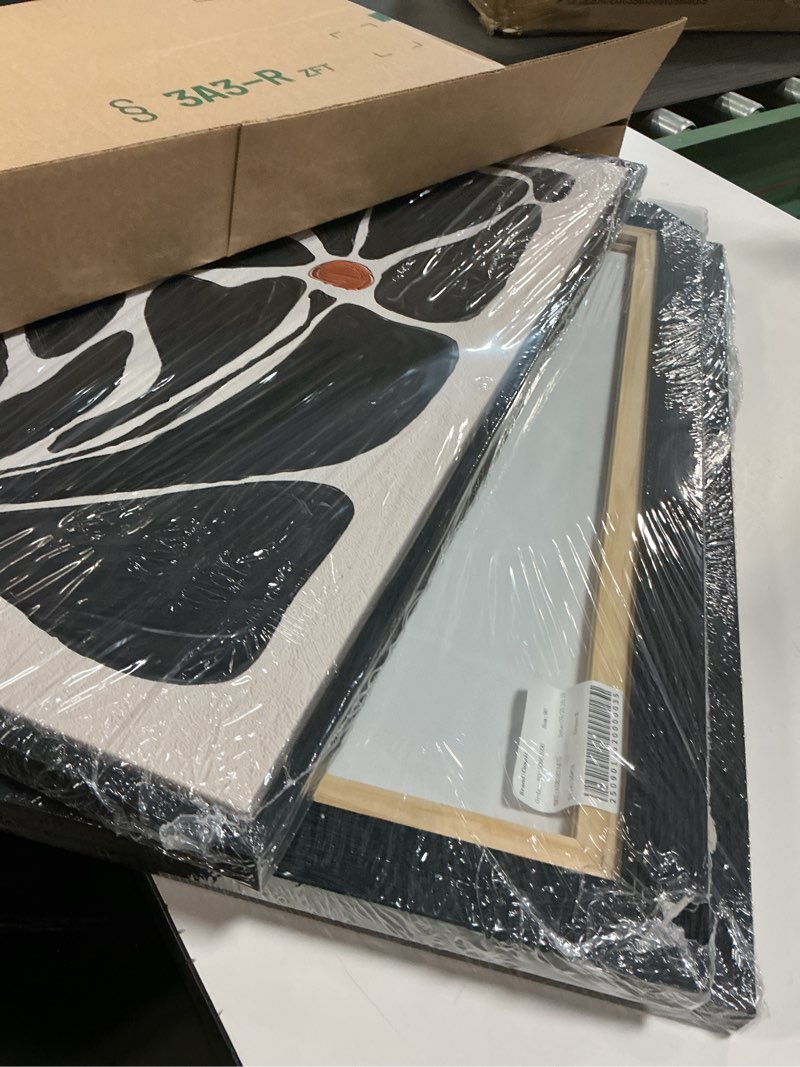 Condition photo showing Good Condition for Large Framed Boho Floral Wall Art for Living Room, 3 Piece Mid-Century Modern Abstract Botanical Canvas Painting Prints Artwork for Walls, Black and White Flowers for Bedroom Hallway Office, 24x36 In 24" W x 36" H x 3Pcs Black Boho