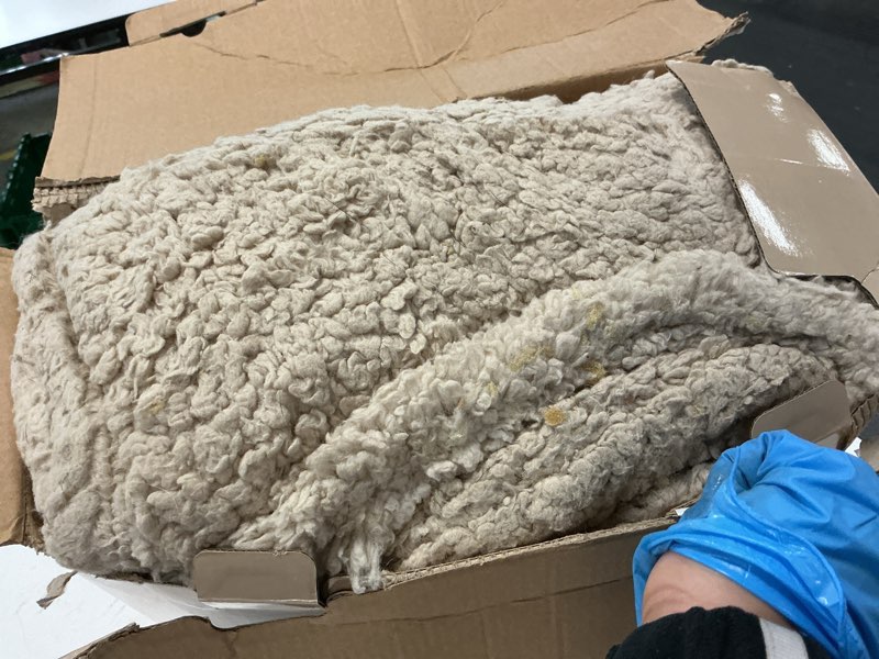 Condition photo showing As Is for heated blanket full size 72"x84" beige - soft double sided sherpa electric blanket full size with led display, 6 heating levels & 10 hrs timer, machine washable & fast heating, gift for women 1-beige 72"x84"