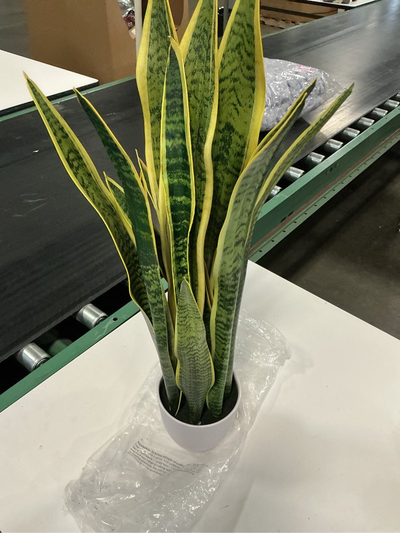 Condition photo showing Good Condition for 30-inch artificial sansevieria snake plant features long, variegated leaves with distinctive yellow borders
