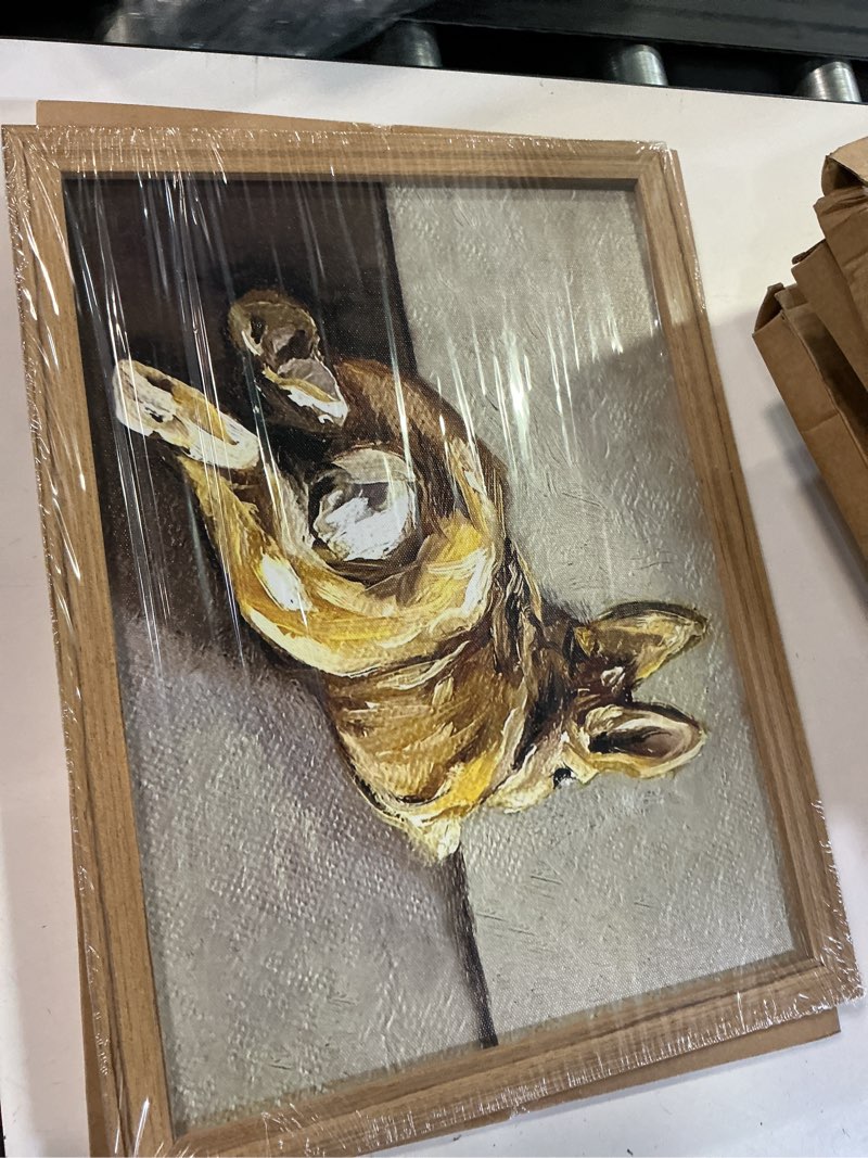 Condition photo showing New/Like New for framed vintage easter bunny wall art, cute rabbit pictures wall decor, rustic farmhouse animal paintings canvas prints cottagecore home decor for living room nursery bedroom 12x16 inch cute rabbit framed 16"l x 12"w