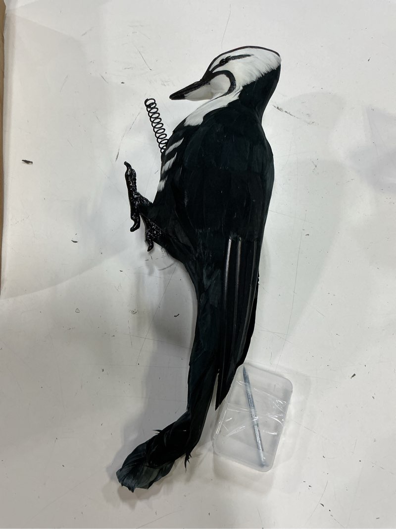Condition photo showing Good Condition for lenwen 17 inch woodpecker deterrents effigy decoy simulated decoration feather black realistic let the woodpecker leave your house for outdoor garden backyard(1 pc)