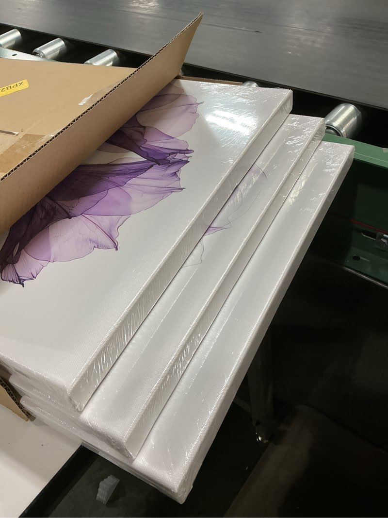 Condition photo showing Good Condition for KREATIVE ARTS Chic Tropical Home Decor - 3 Piece Set, 16x24'' Each, Purple X-Ray Flowers Giclee Print, Modern Photographic Floral Canvas Wall Art, Ready to Hang for Bathroom, Bedroom