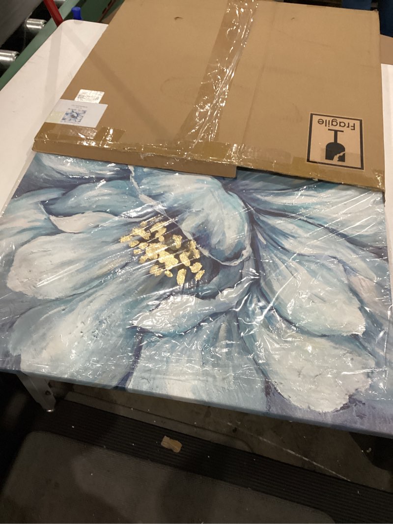 Condition photo showing Good Condition for tar tar studio floral abstract wall art picture: flower blooms artwork hand painted painting on wrapped canvas for bathrooms (24''w x 24''h, multiple sizes) blossom 24"l x 24"w