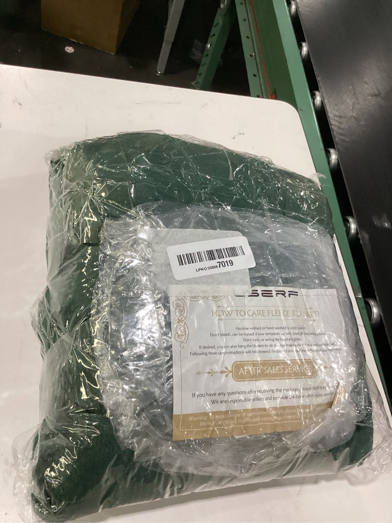 Condition photo showing Good Condition for dark green queen size fleece throw blanket for bed couch, soft warm fuzzy cozy blankets for women men, 300gsm room decor flannel microfiber blankets for all seasons, 90x90 inches forest green queen (90" x 90")