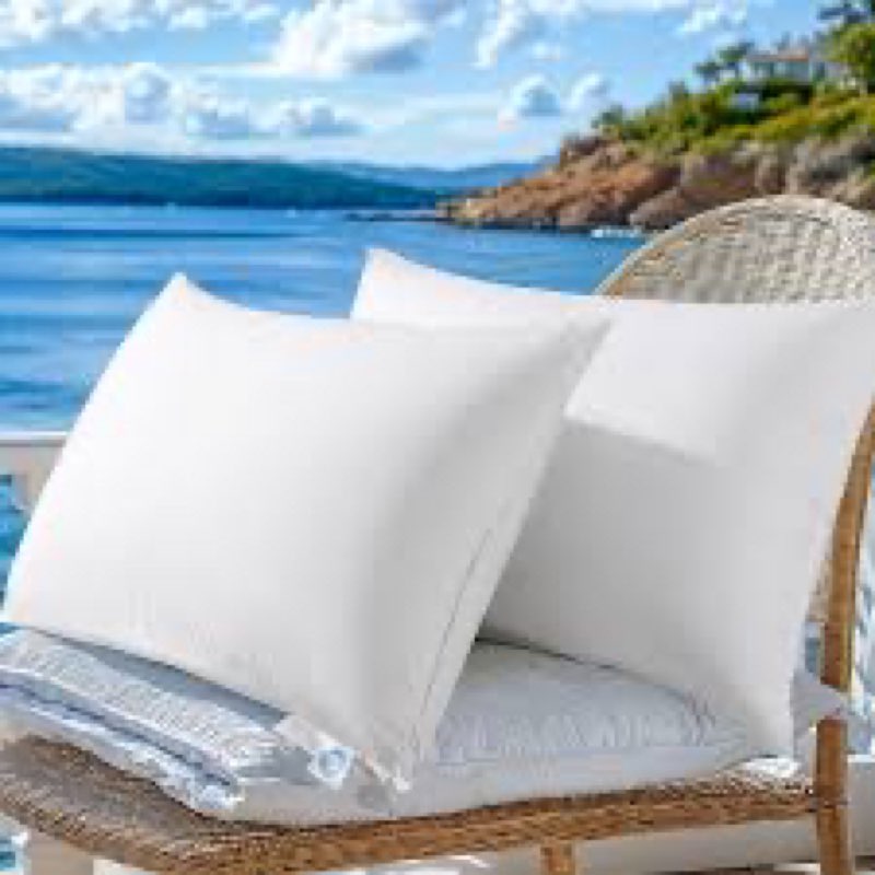 luxury canadian white goose down pillow king size set of 2, 900+ fill power, 600 tc cotton shell, so