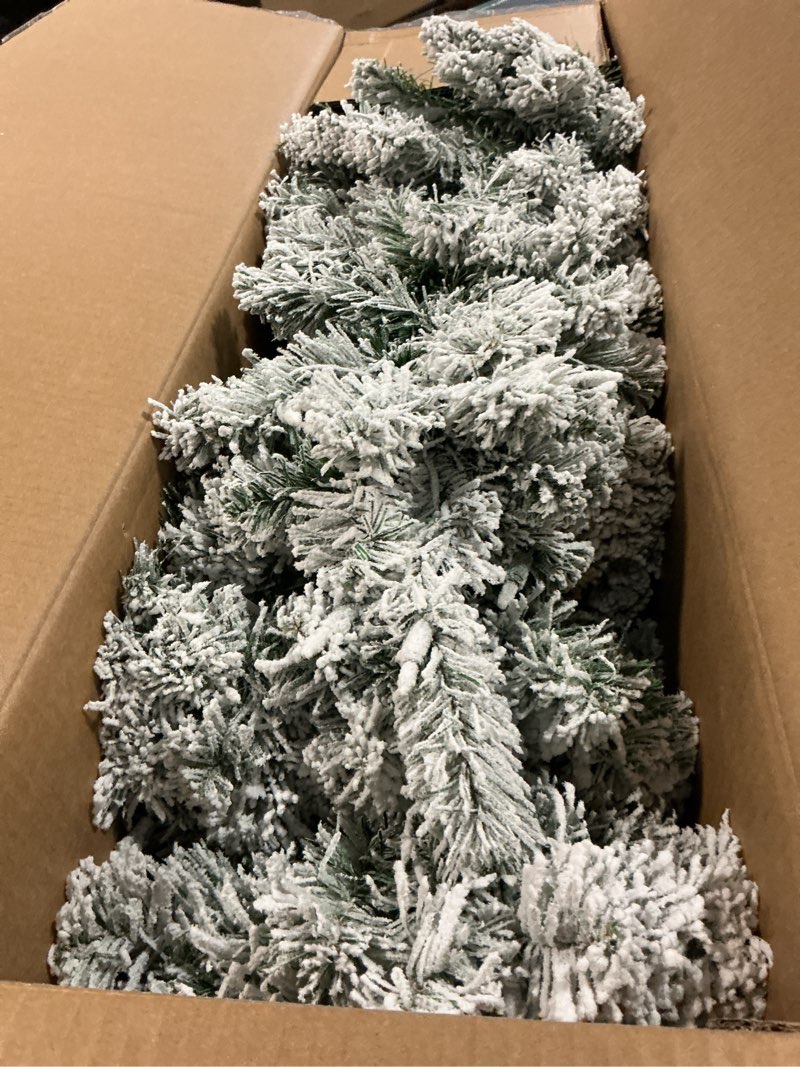 Condition photo showing Good Condition for National Tree Company 6 ft Pre-Lit Acacia Artificial Medium Profile Christmas Tree with Clear Lights