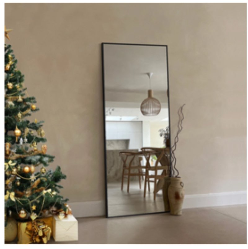 Mirta Rectangle Metal Full Length Mirror