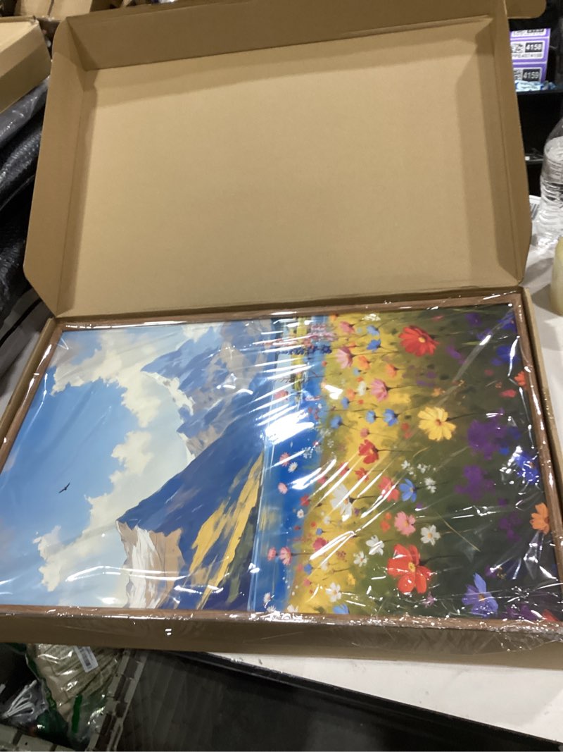 Condition photo showing New/Like New for HOURIA Boho Vibrant Watercolor Wildflower & Snowy Mountain Framed Canvas Wall Art Set,Colorful Floral Landscape Decor,Modern Natural Field Scenery Artwork for Living Room,Bedroom,Farmhouse-16 x24 x3 Colorful Wildflower Mountain Wall Art 16"L x 24"W