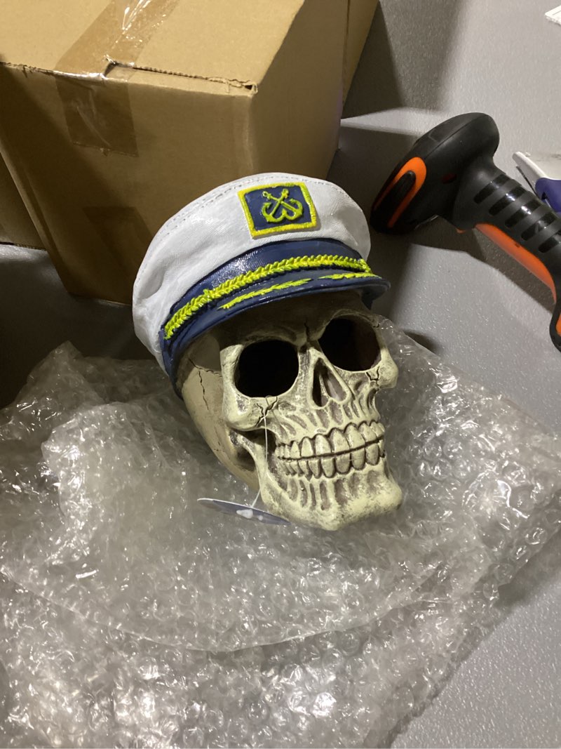 Condition photo showing Good Condition for Captain Skull Aquarium Ornament
