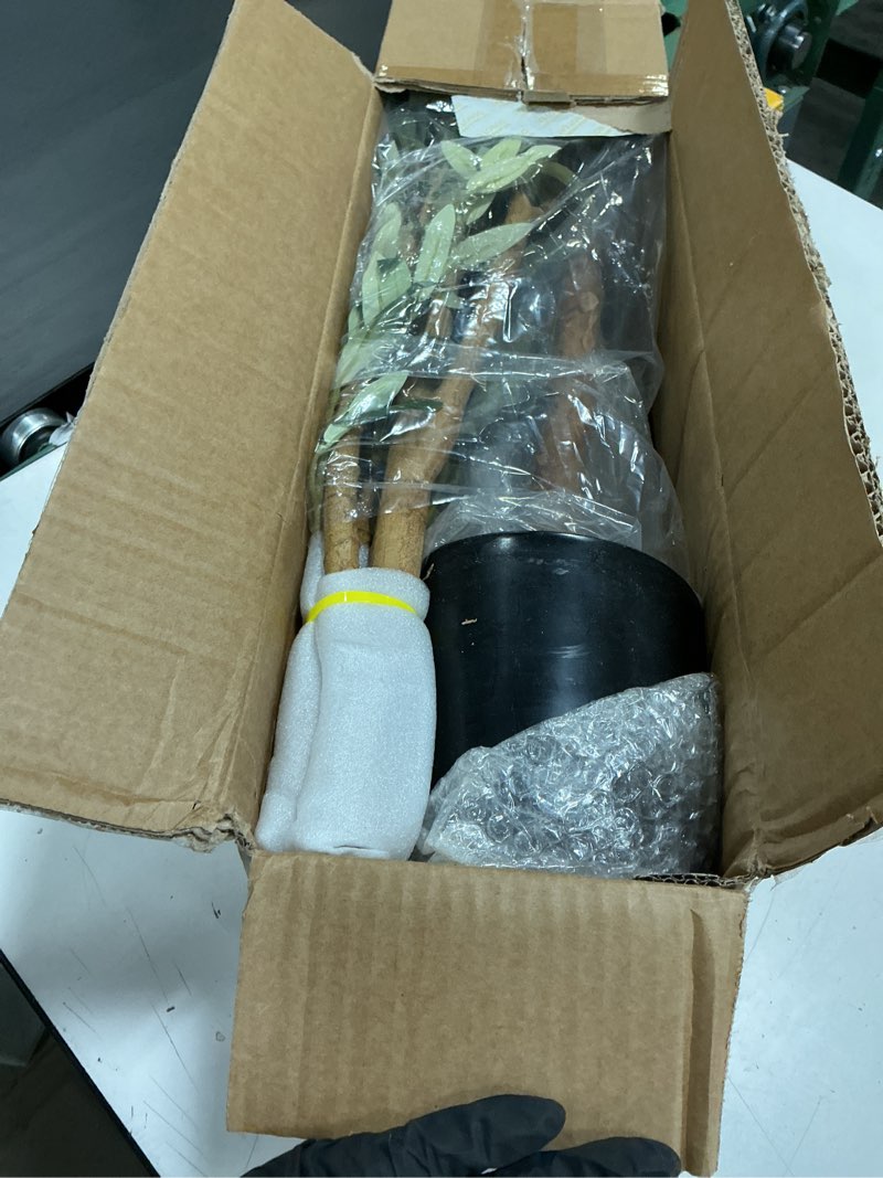 Condition photo showing New/Like New for Bellacat Faux Olive Tree 5ft?Olive Trees Artificial Indoor with Natural Wood Trunk and Realistic Leaves and Fruits. 5 Feet(60in) Fake Olive Tree for Home House Office Décor. 1 5ft