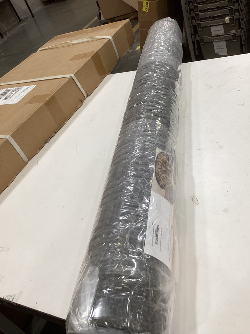 Condition photo showing Good Condition for Mibao Front Door Mat, Heavy Duty Durable Welcome Mat for Outdoor Indoor, Dirt Trapper Waterproof Super Absorbent Door Mat for Entryway Outside Patio Porch,61.5" x 36", Beige 3' x 5'2" (Rectangular) Beige