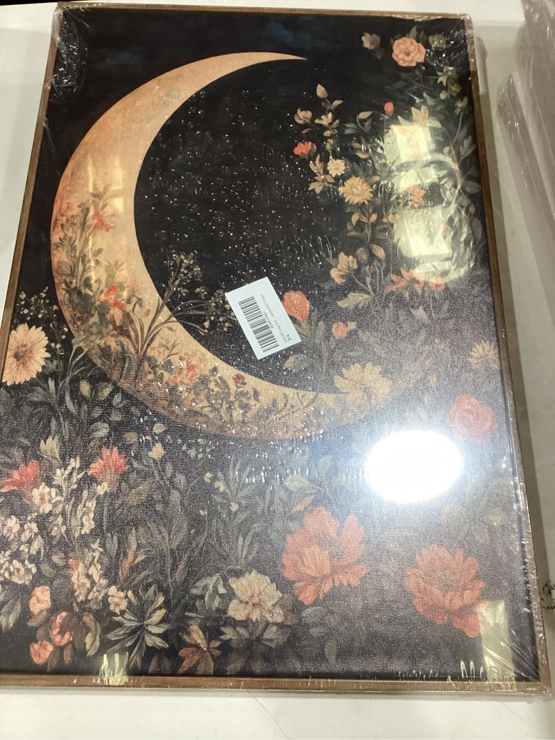 Condition photo showing New/Like New for framed vintage floral and moon wall art dark academia botanical flower picture wall decor gothic mystical celestial painting canvas prints moody crescent cottagecore artwork for living room bedroom moon and floral 24"l x 16"w