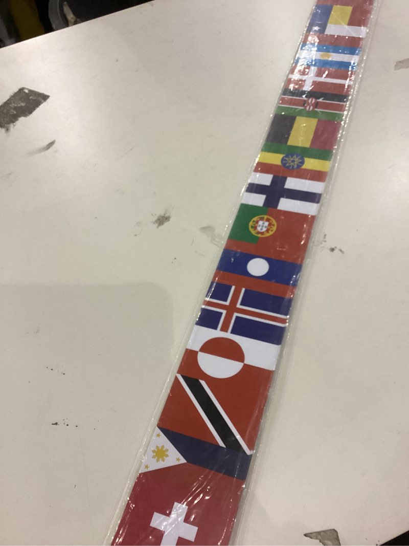 Condition photo showing New/Like New for Teacher Created Resources International Flags Spotlight Border (EP-595)