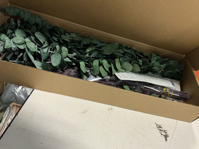 Condition photo showing Good Condition for 120+ Pcs Mixed Dried Eucalyptus & Lavender Flowers for Shower, Preserved Natural Eucalyptus Leaves for Wall Hanging, Plant Fragrance, Dried Florals for Vase Fillers, Wedding, Green Bathroom Decor