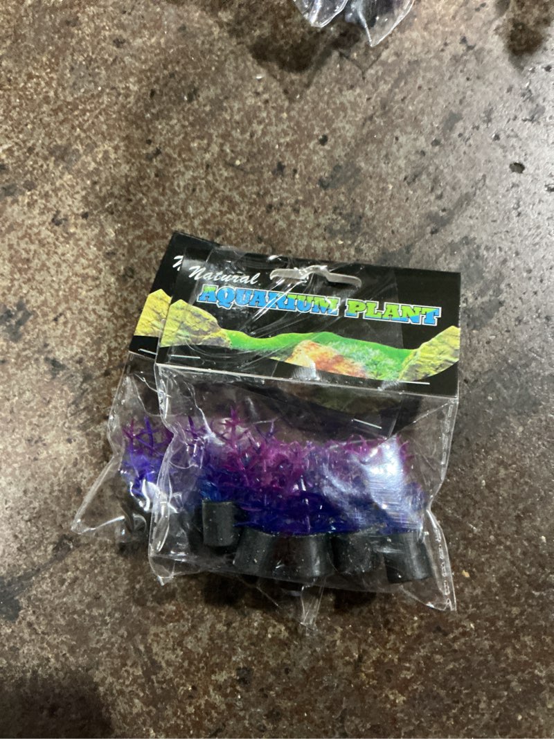 Condition photo showing New/Like New for (Bidding on 2) Underwater Treasures Mini Plant - Violet - 1.5  - 5 pk