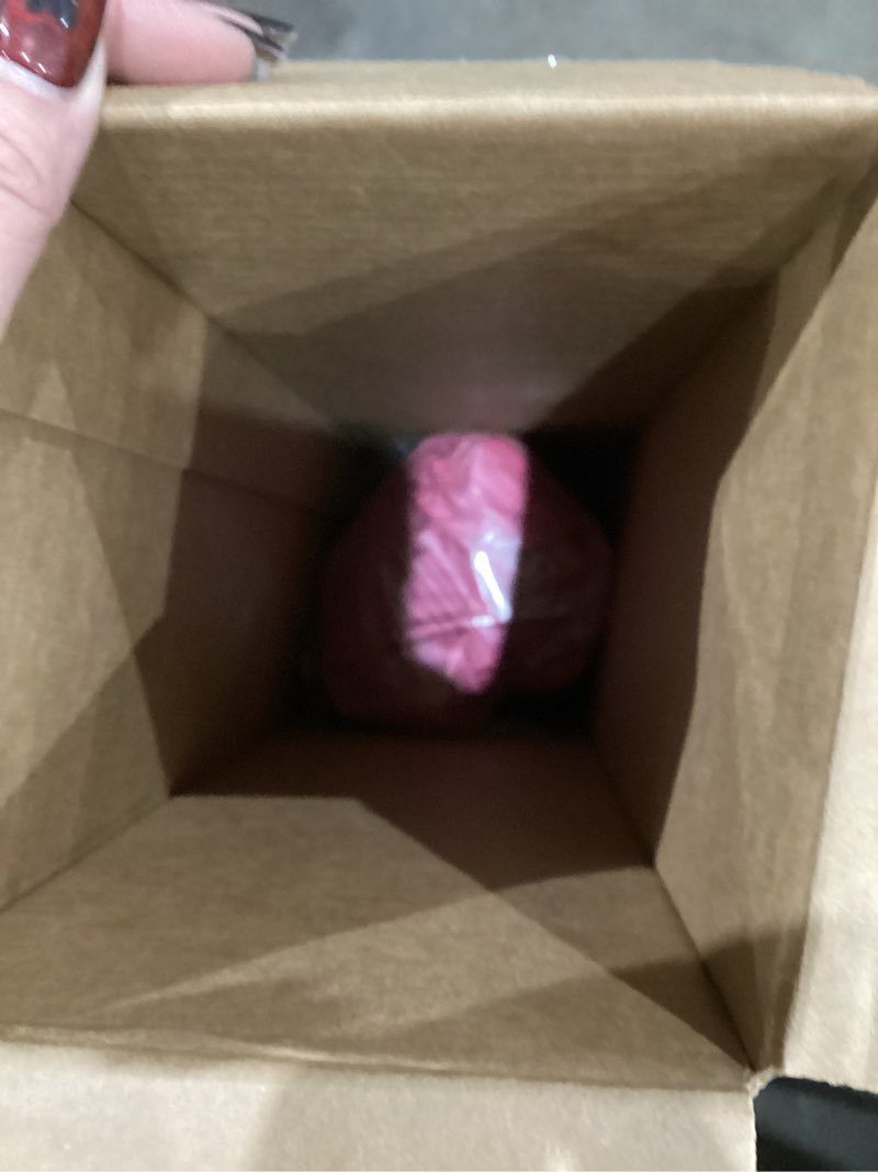 Condition photo showing As Is for 2 Person Camping Tent with Rain Fly and Carrying Bag Pink