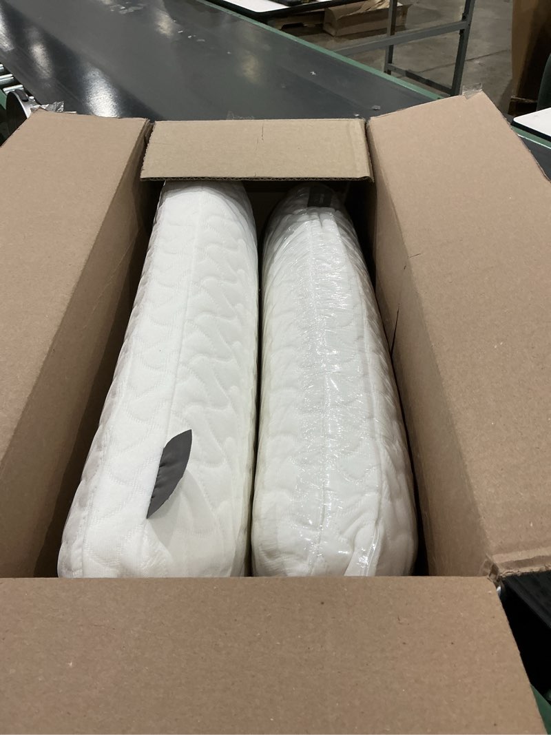 Condition photo showing Good Condition for tempur-pedic tempur-cloud pillow for sleeping, standard, white
