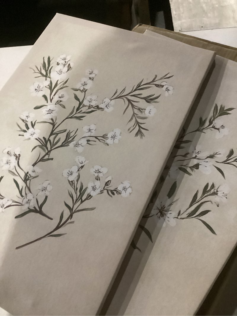 Condition photo showing Good Condition for set of 2 watercolor botanical plant picture pink white flower canvas wall art colorful wildflower poster minimalist floral wall decor framed for bedroom living room home office decoration, 11x14 inch pink white flower (framed) 14l" x 11w"