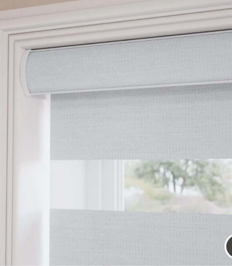 LazBlinds Cordless Zebra Blinds for Windows - Dual Layer Light Filtering & Blackout Roller Shades, F