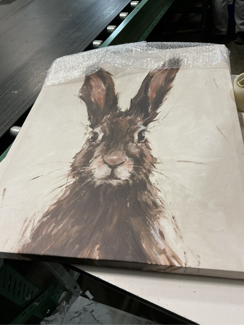 Condition photo showing Good Condition for art.com stretched canvas print european hare i by ethan harper, “24x30 " stretched canvas