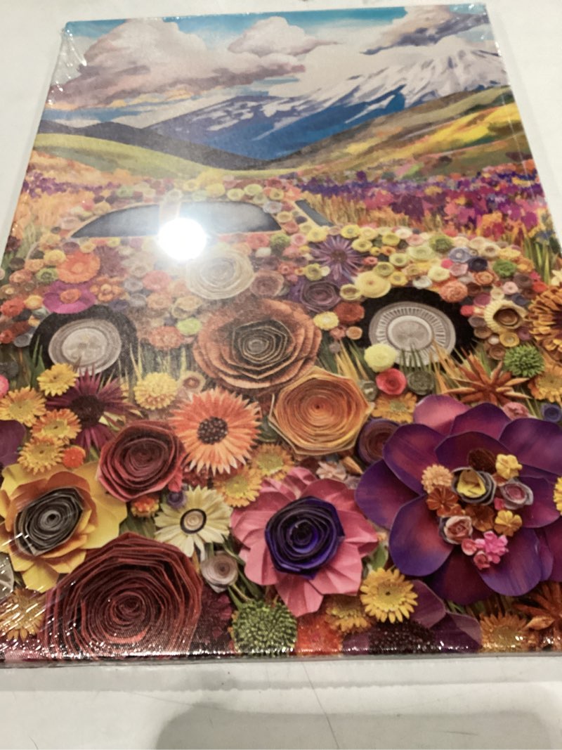 Condition photo showing New/Like New for Colorful Flowers Canvas Wall Art Wildflower Textured Paintings Abstract Floral Picture Boho Floral Posters for Bedroom Decor?Floral-1,16x24inch (40x60cm)) Floral-1 16x24inch (40x60cm)
