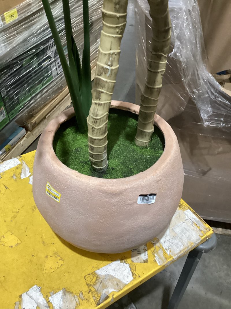 Condition photo showing As Is for 64" artificial potted split philodendron - threshold™