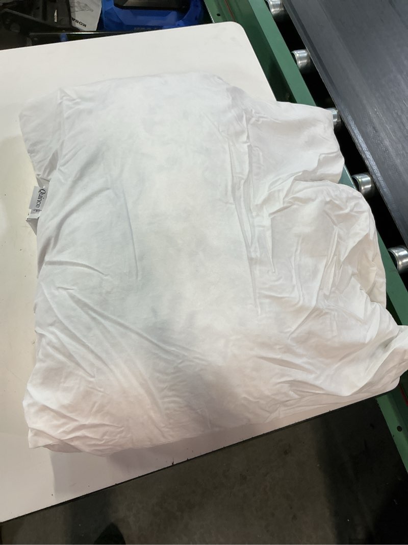 Condition photo showing As Is for premium feather pillow insert, 22x22, no color