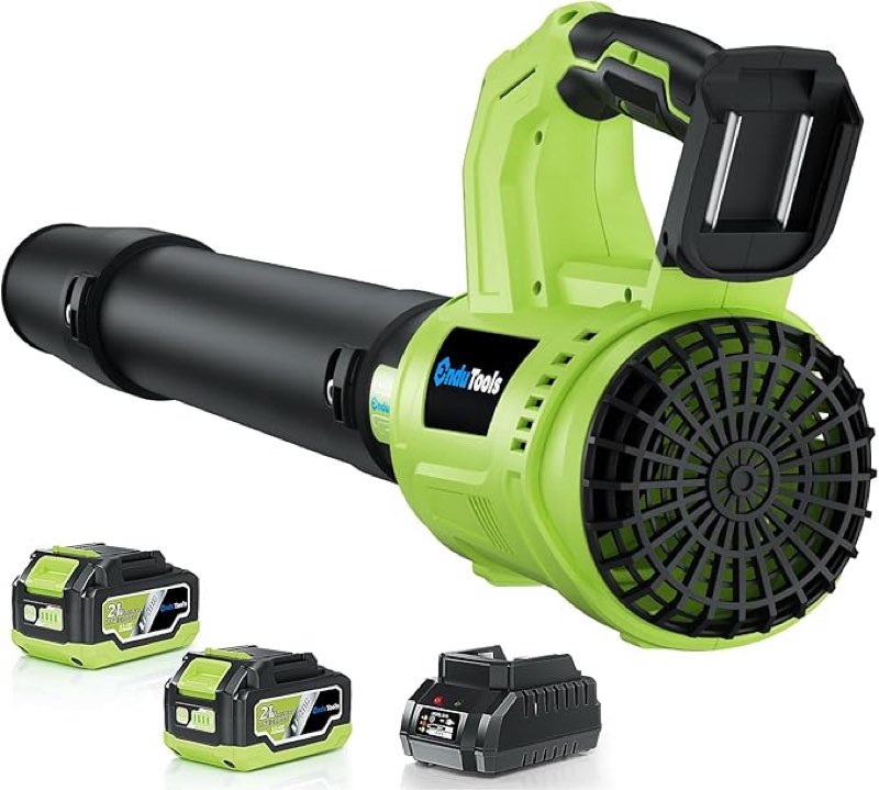 Leaf Blower Cordless - 650 CFM 150 MPH Electric Leaf Blower with 2 x 4.0Ah Batteries & Fast Charger, 2-Speed Settings, Lightweight Blower for Lawn, Yard, Leaves, Dust, and Snow Care (Green)
