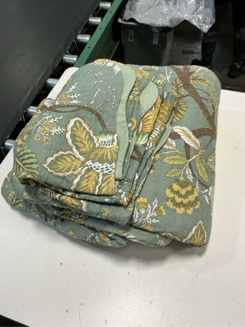 Condition photo showing Good Condition for travan 3-piece quilt set quilted bedspread cotton coverlet set floral printed oversized quilted bedding set with shams for all season, green vine, queen size x2-green vine queen