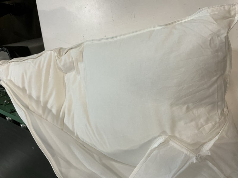 Condition photo showing As Is for quince goose pillow firm/king