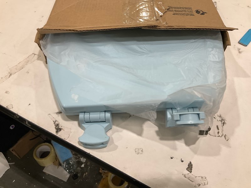 Condition photo showing Good Condition for Bemis toliet seat