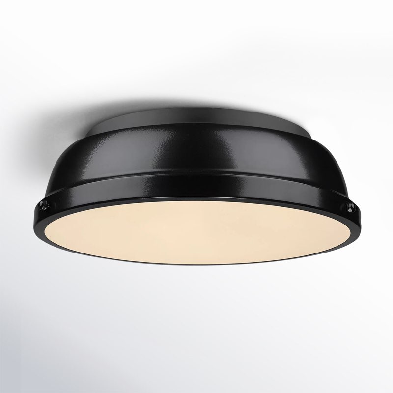 (Similar to stock photo)Calico 2 Light Steel Flush Mount Shade Color: Black, Fixture Finish