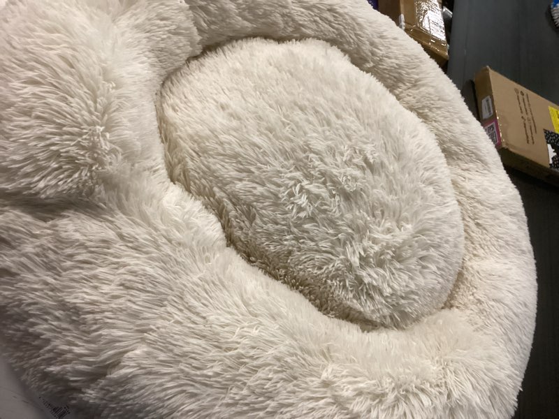 Condition photo showing Good Condition for donut bolster dog bed - boots & barkley™ - cream - l