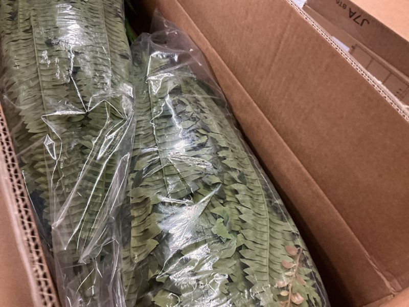Condition photo showing New/Like New for martine mall 2pcs 48''/128 leaves artificial ferns for outdoors look real fake ferns, large faux boston ferns for outdoor planter realistic uv resistant artificial fake plants for porch patio hanging 2pcs green