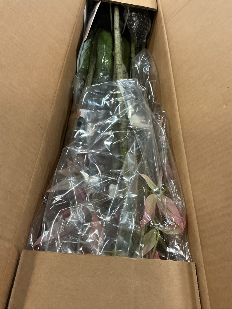 Condition photo showing As Is for 4.6ft Faux Bamboo Tree Artificial Nandina Tree Artificial Indoor Plants Realistic Fake Potted Tree with 800+ Leaves, Cement Planter - Home Office Decor Perfect for Housewarming Gift No Planter 4ft 7in Red