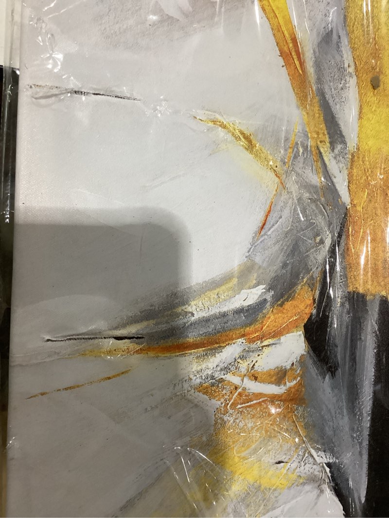 Condition photo showing As Is for Large wall art