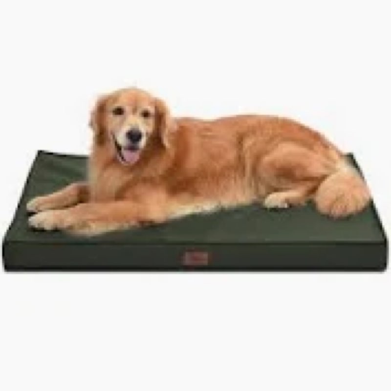 Tail Stories Outdoor Extra Large Dog Bed, Jumbo Waterproof Dog Bed for Large Dogs, Orthopedic Egg Cr, Dark Green 
