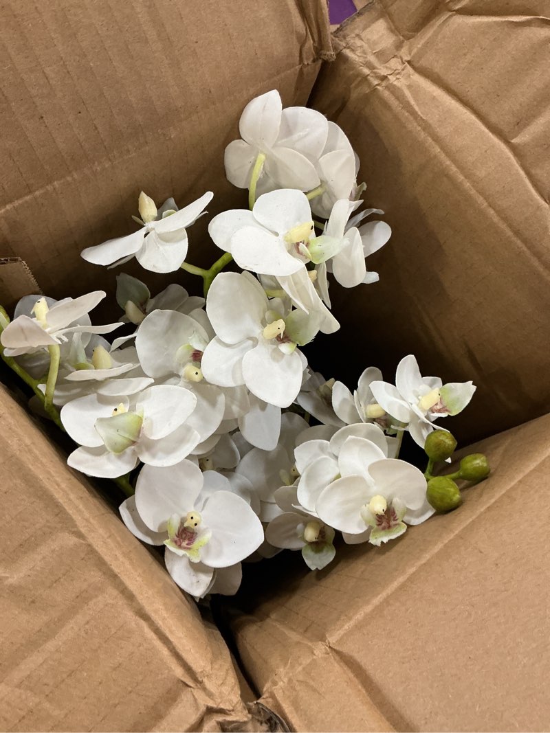 Condition photo showing Good Condition for k129w description: phalaenopsis 16" mini garden dropin