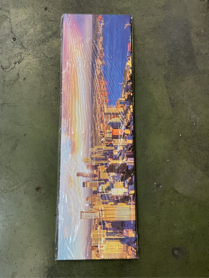 Seattle wall art sunset home decoration 14x48