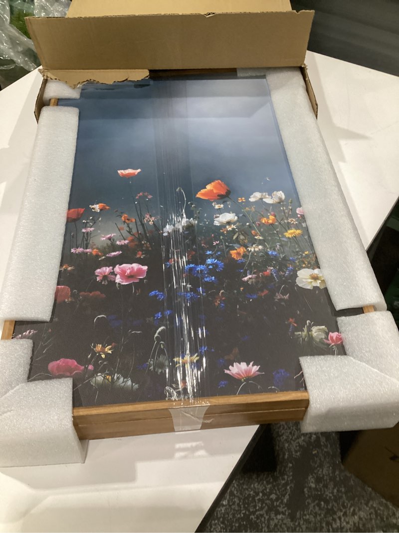 Condition photo showing Good Condition for lhiuem large nature moody floral framed canvas wall art,abstract dark wall decor,wildflower botanical landscape wall painting,picture artwork for living room,bedroom,dining room,office -16"x24"x3 dark moody flower wall art 16"x24"x3