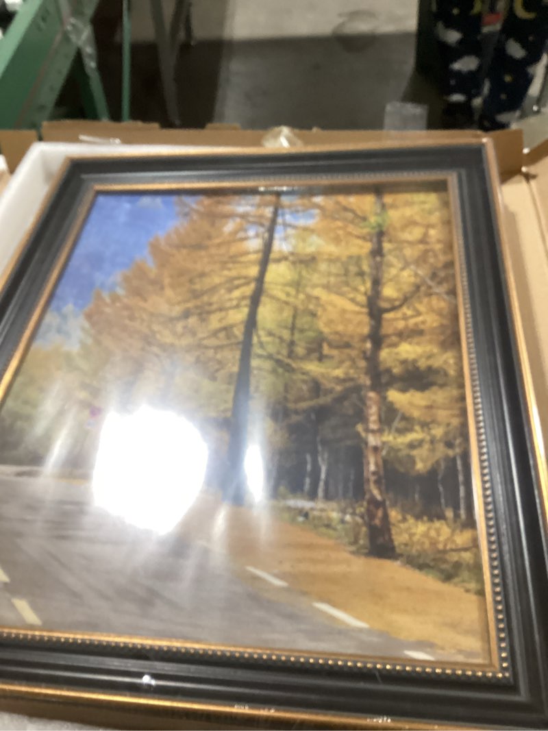 Condition photo showing Good Condition for Space Art Deco, Set of 1,16x20 Picture Frame without Mat for 16x20 Poster/Photo Frame Shatter-Resistant Glass Wall Mounting Display(Black and Ornate Gold Design)