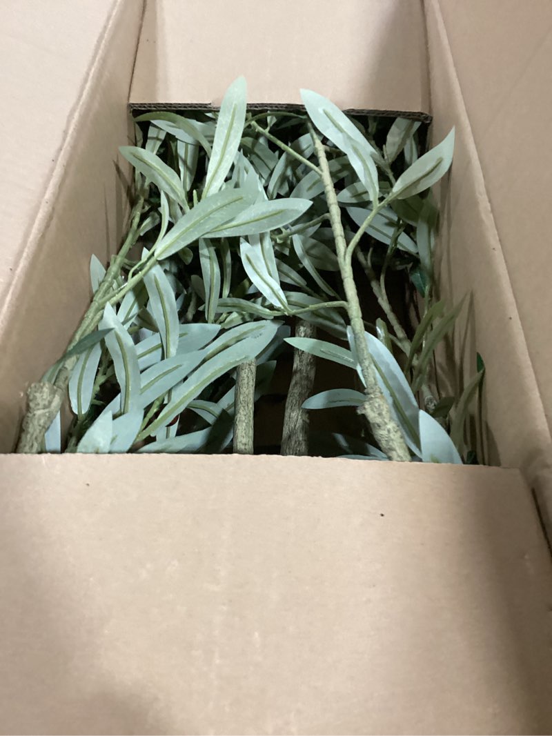 Condition photo showing As Is for LOMANTO Artificial Olive Trees, 5 ft Tall Fake Olive Trees for Indoor, Faux Olive Silk Tree, Large Olive Plants with White Planter for Home Decor and Housewarming Gift, 1 Pack 5ft