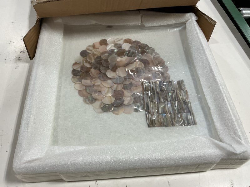 Condition photo showing New/Like New for shaped natural sea capiz shell 3d shadow box wall art 16.9 x 16.9 inch coastal wall art décor, minimalist sea colorful shell wall decor for living room, bedroom, office-c (geometry-c, 16.9l x 1.7w x16.9h) (color2)