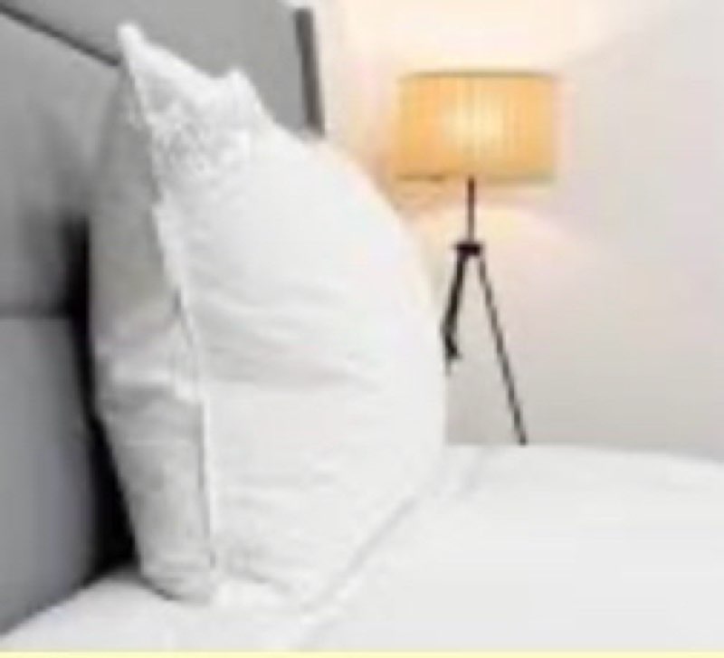 QUIN DUCK PILLOW FIRM STANDARD