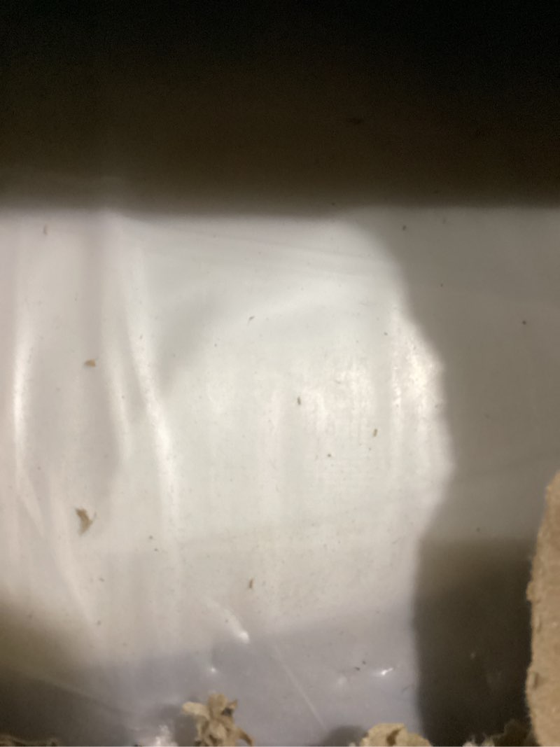 Condition photo showing Good Condition for etonex 12 inch queen hybrid mattress in a box gel memory foam and pocket springs for pressure relief with medium firm certipur-us certified (queen, 12in) queen (u.s. standard) 12" hybrid