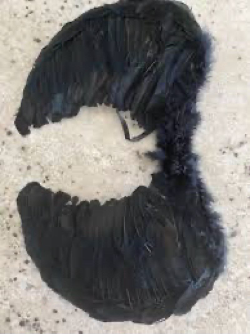 Black Feather Fallen Angel Wings LARP Cosplay
